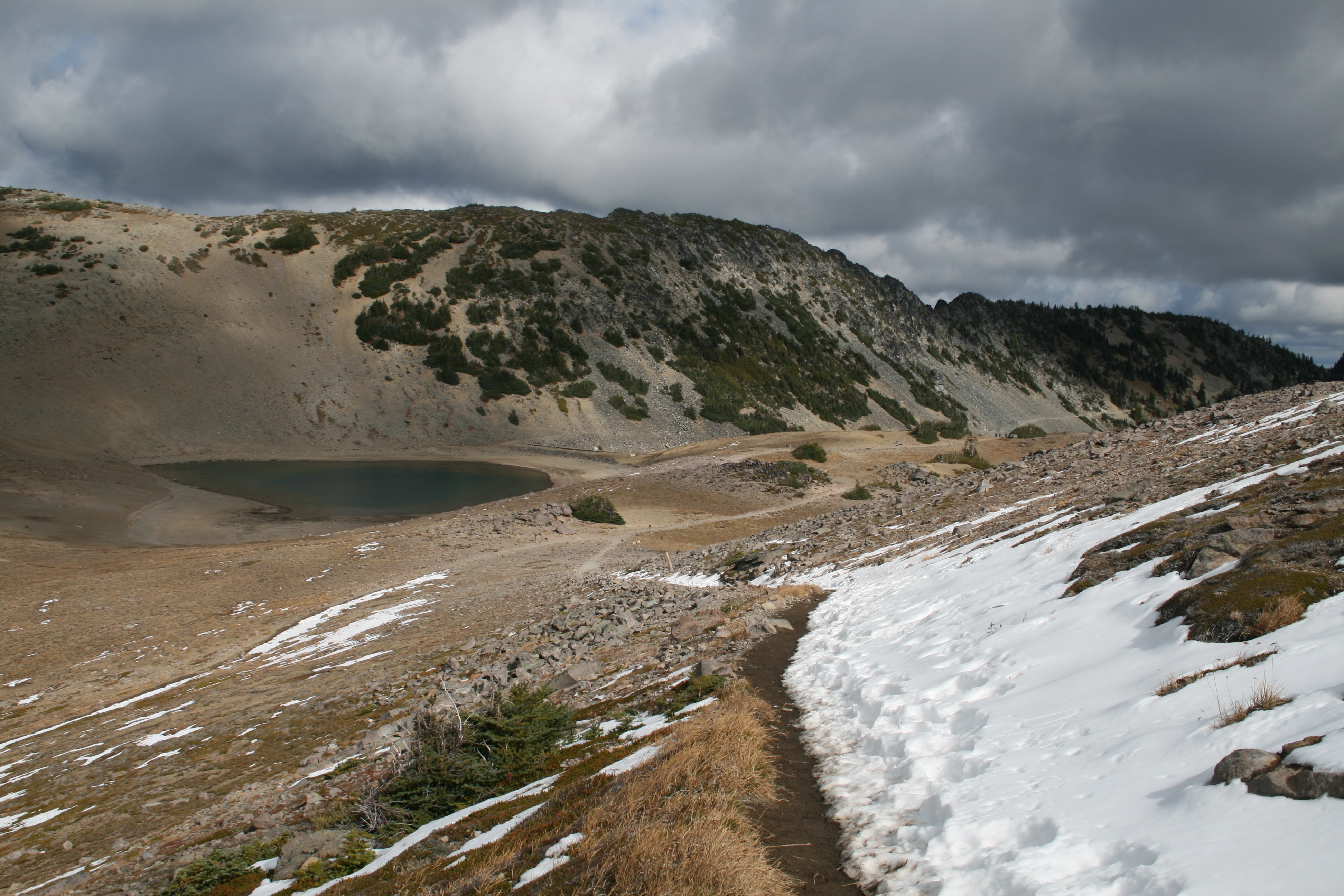 Frozen Lake None