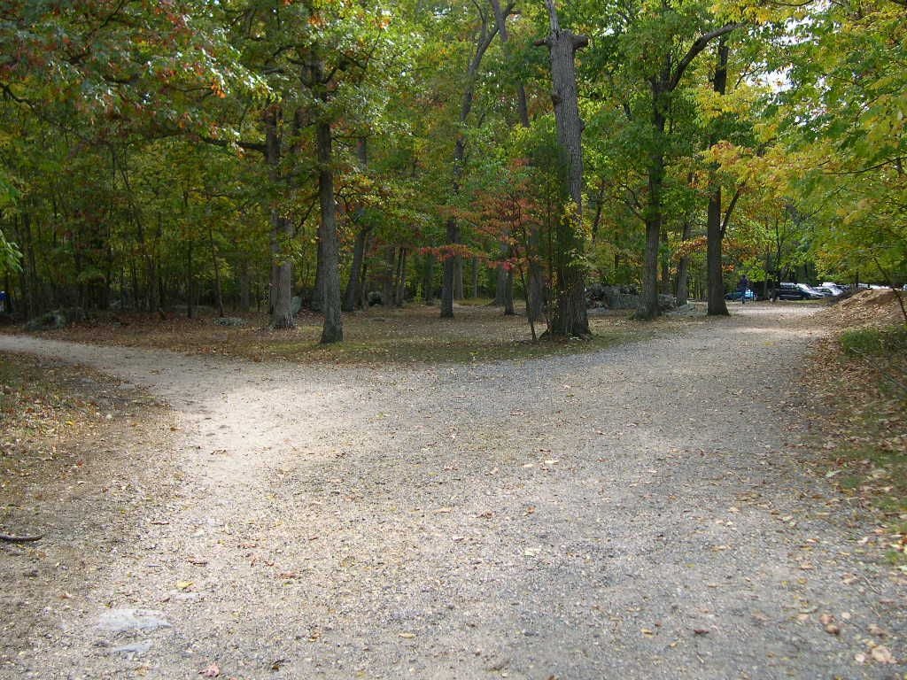 Great Falls Park None