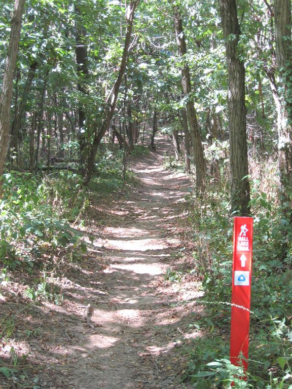 Hall Lake Trail None