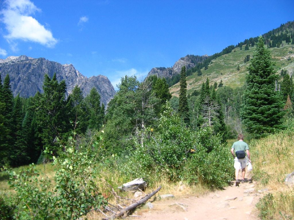 Hikers None