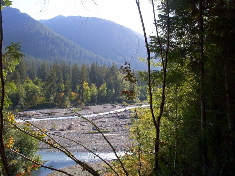Hoh River None