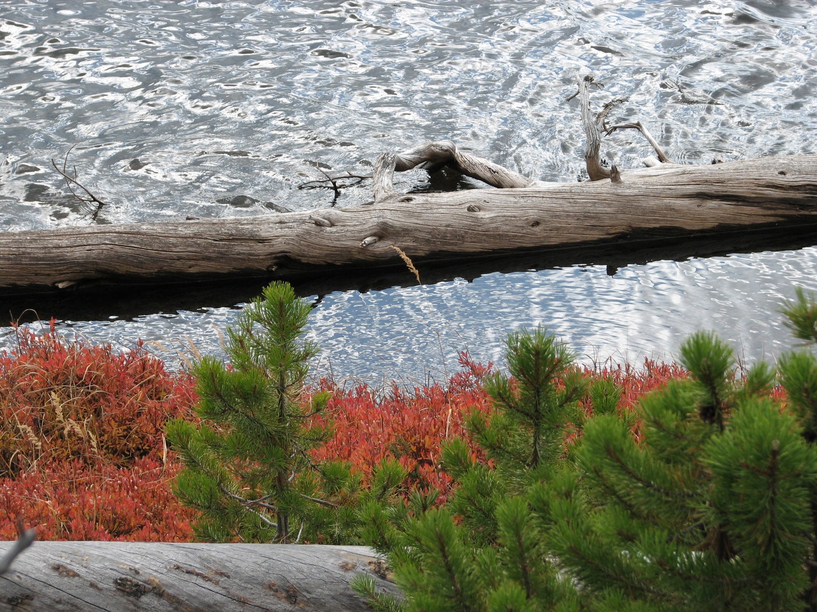 Yellowstone National Park Ice Lake