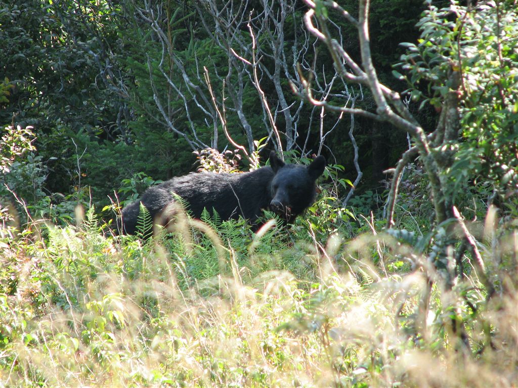 IMG_4405 None