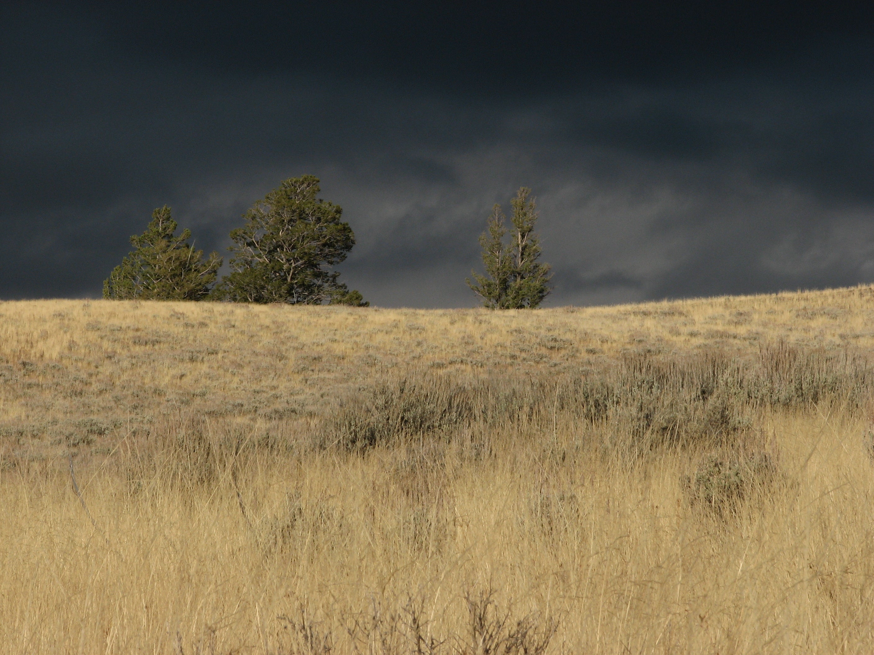 Incoming Storm None