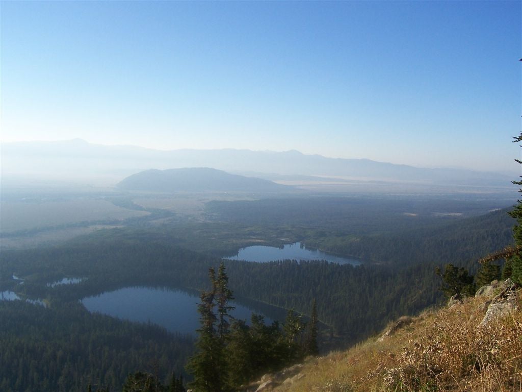 Jackson Hole None