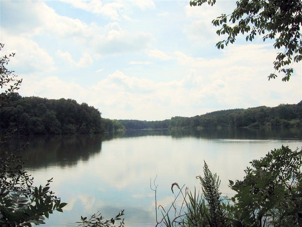 Johnson Lake None