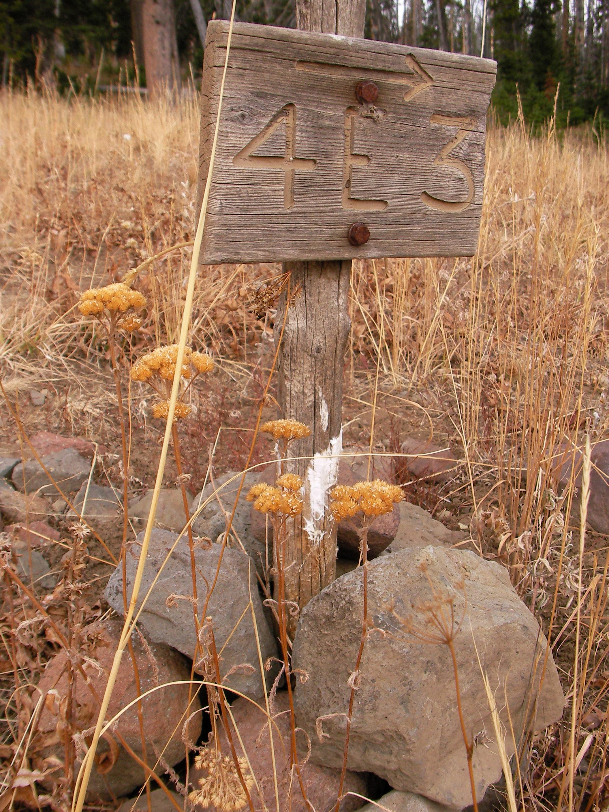 Junction: Campground 4E3 None