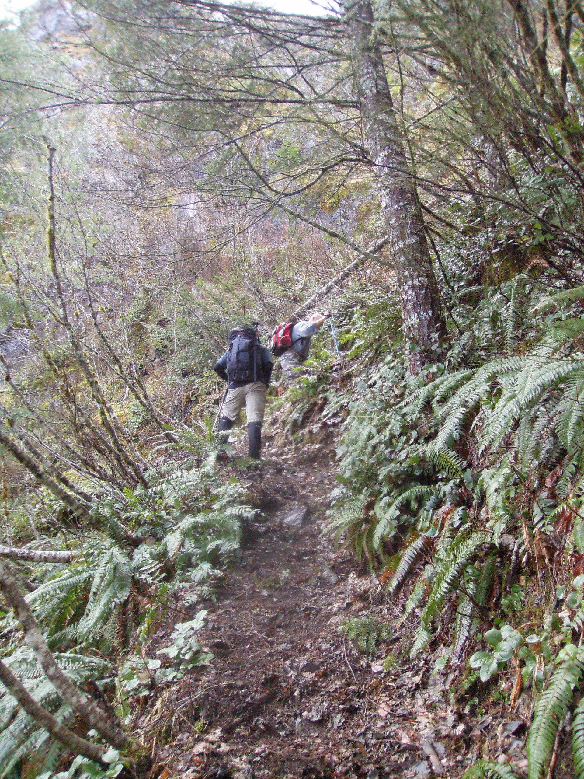 Kings mt ascent None