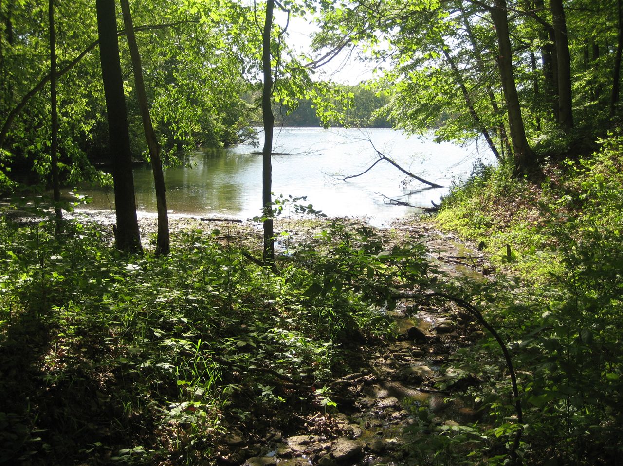 Lake None