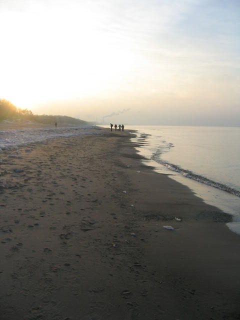 Lakeshore at Dusk None