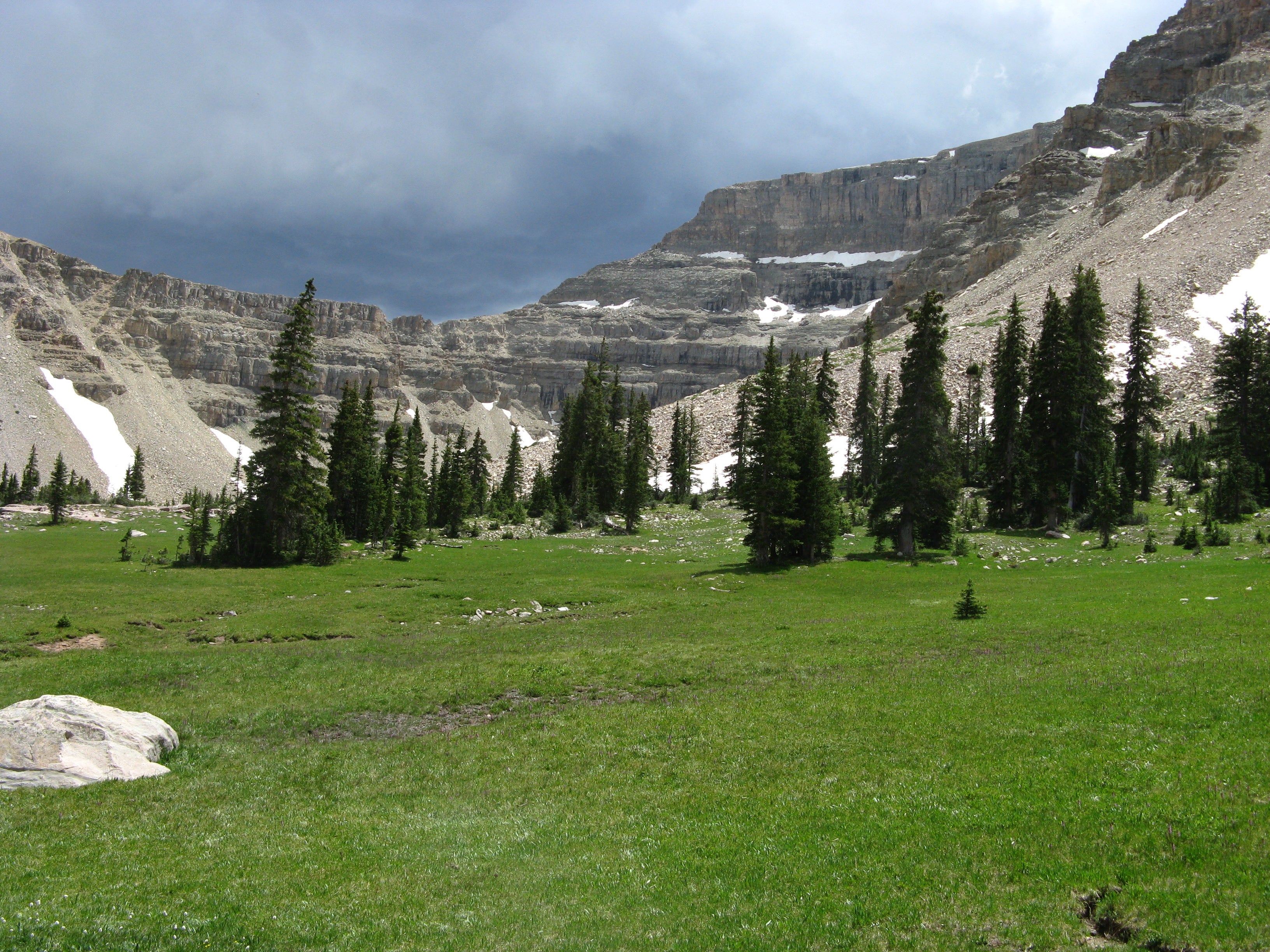 Lakeside Meadows None