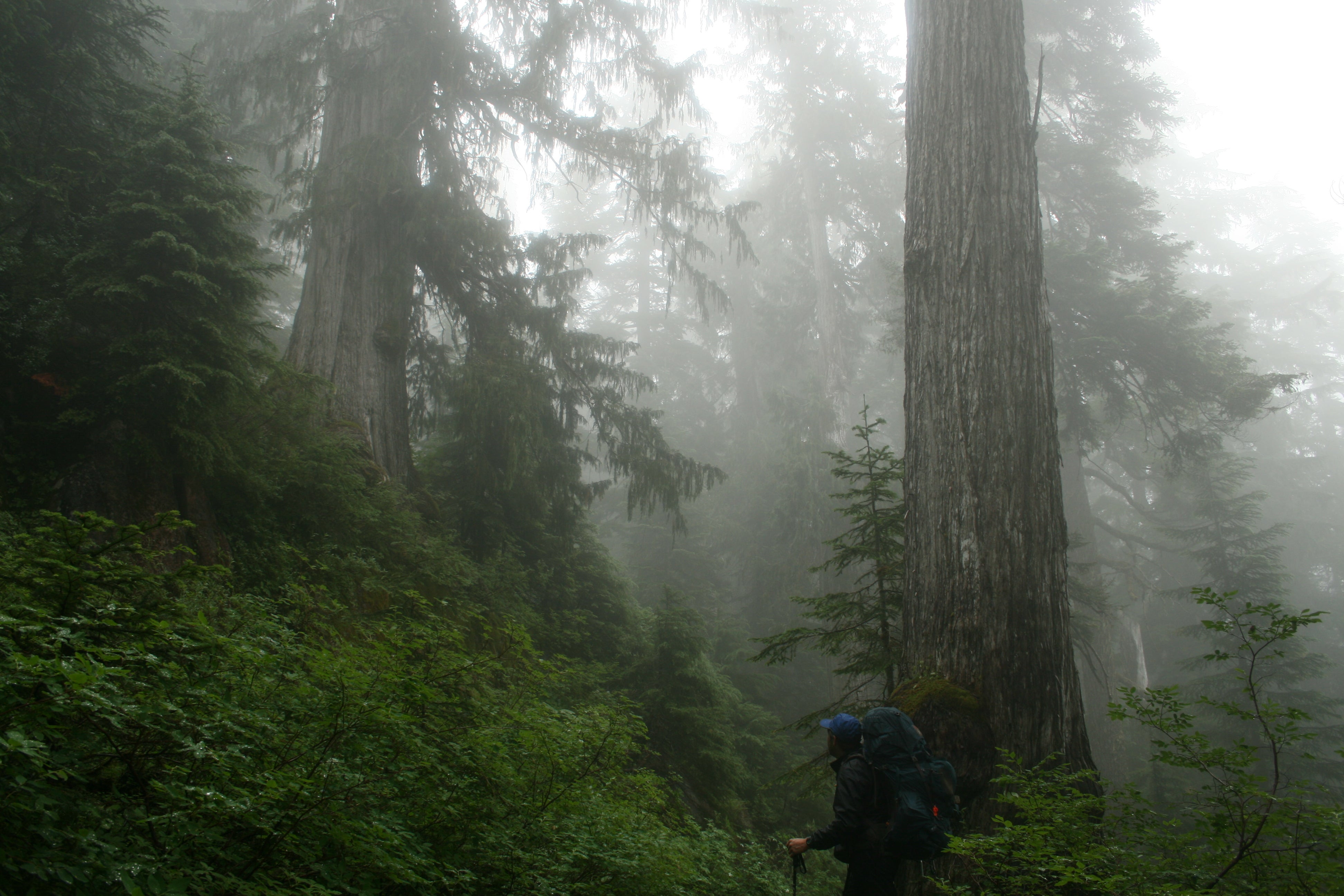 Land of Giants None