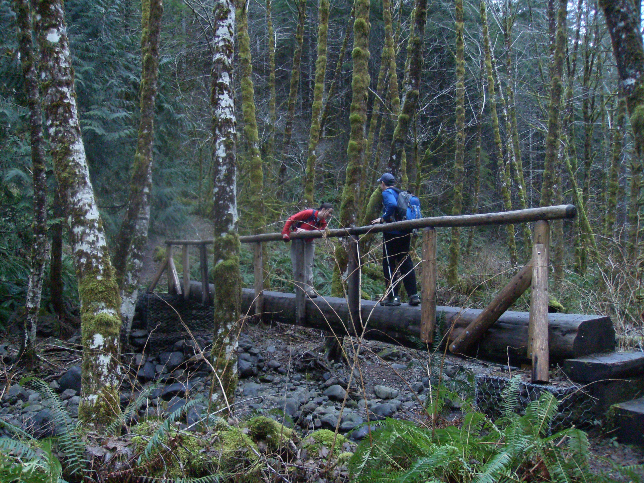 Last bridge - pic None