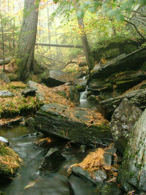 Leeman Brook 100 mile wilderness
