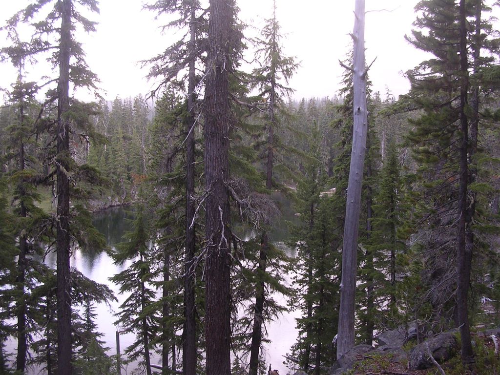 Lils Lake None