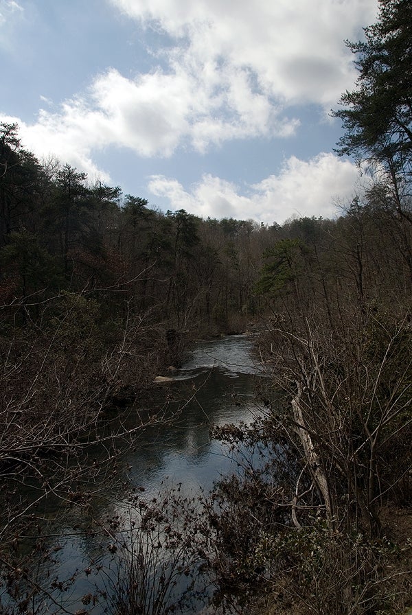 Little River View None