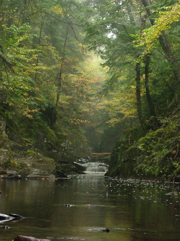 Little Wilson Stream None