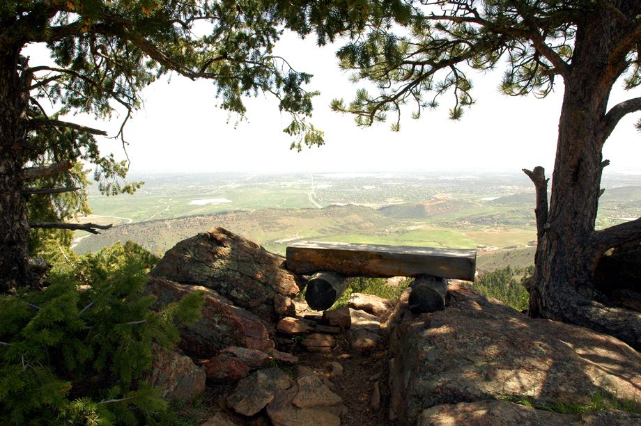 Log Bench None