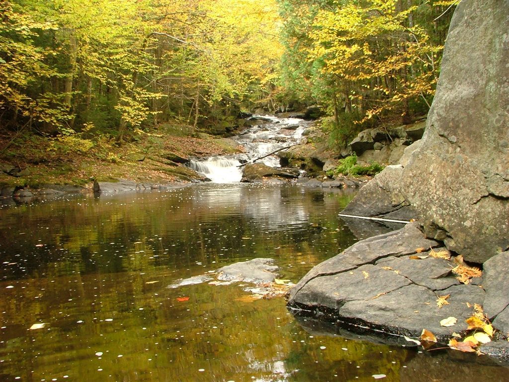 Long Pond Stream None