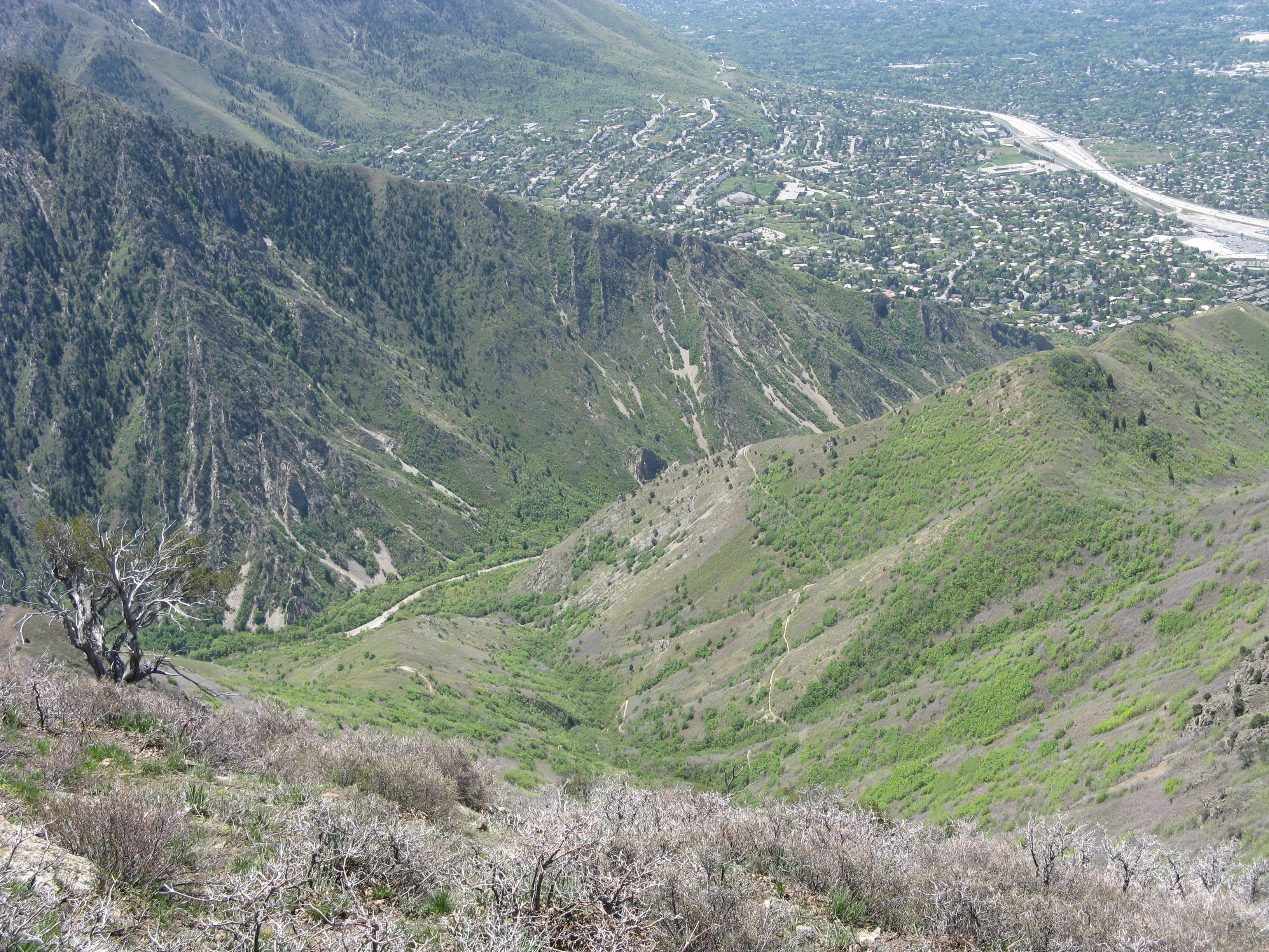 Looking South None