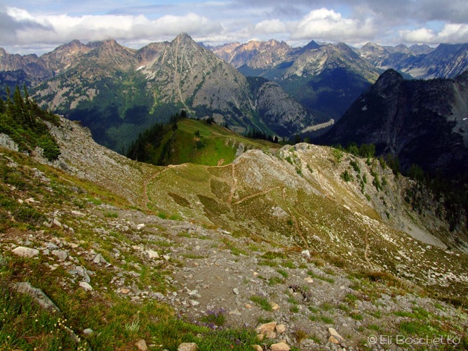 Maple Pass None