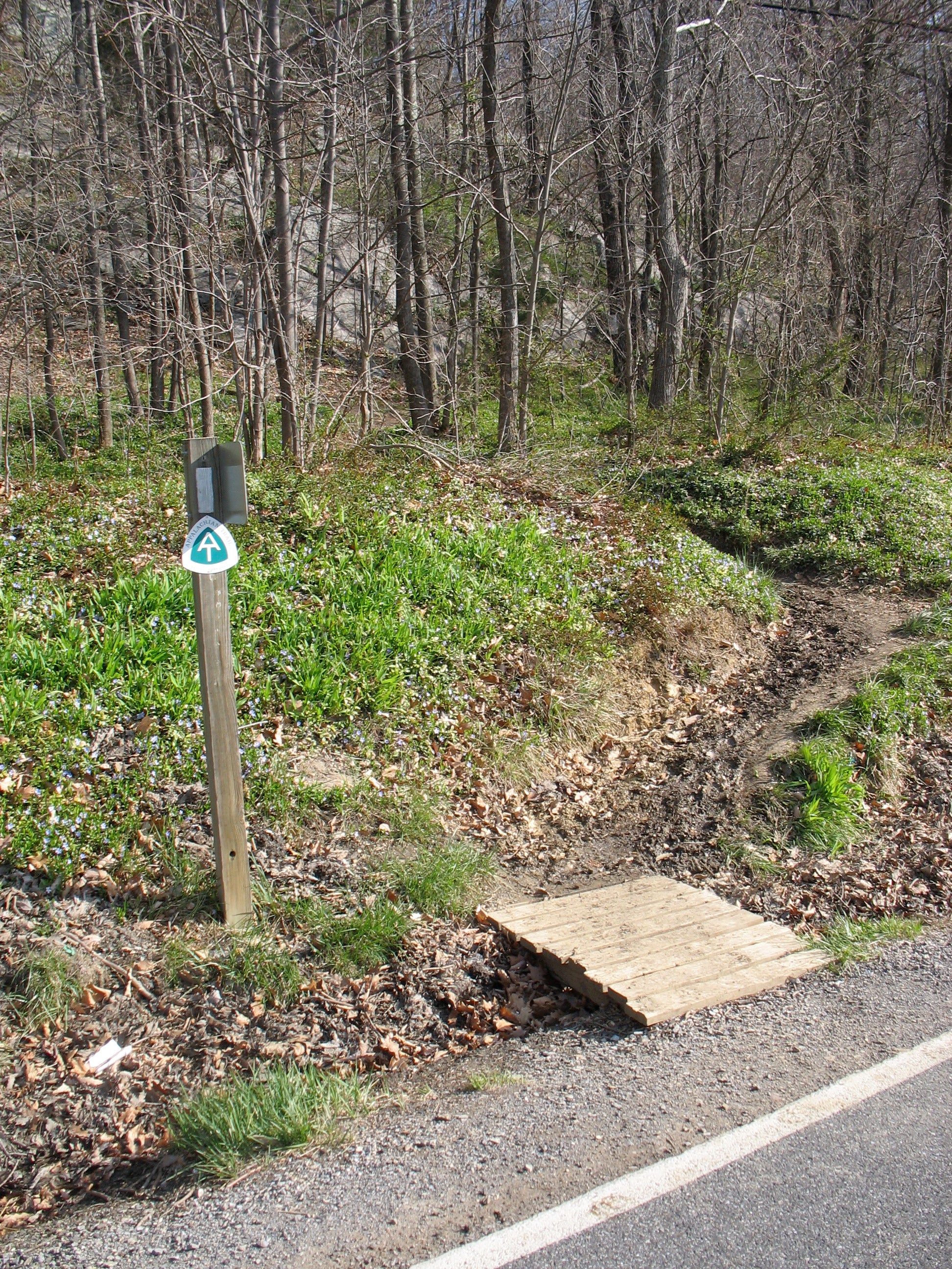 McAfee Knob Trailhead None
