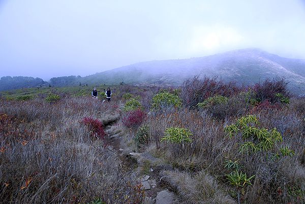 Misty Views None