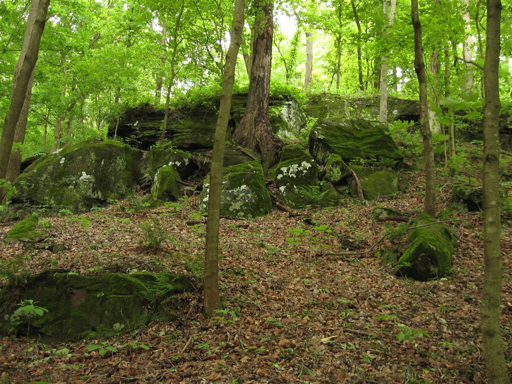 Mossy Rocks None