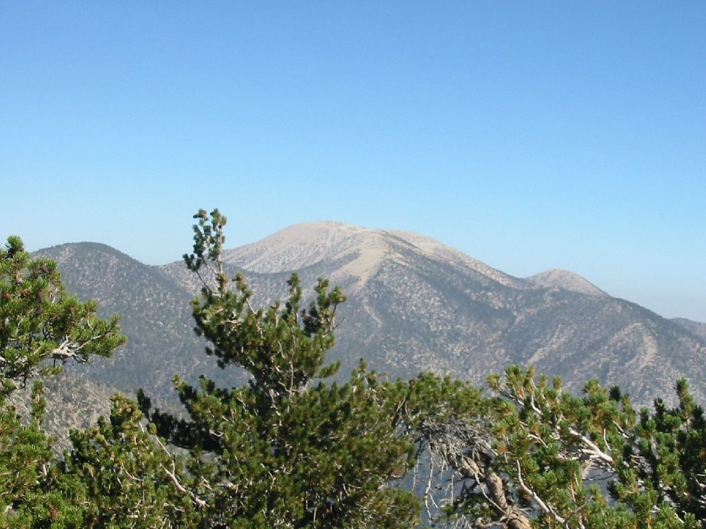 Mount San Gorgonio None