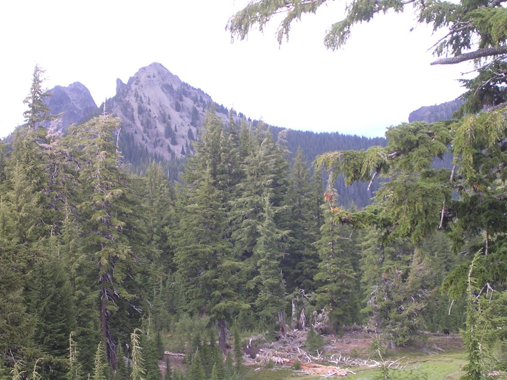 Mount Yoran None