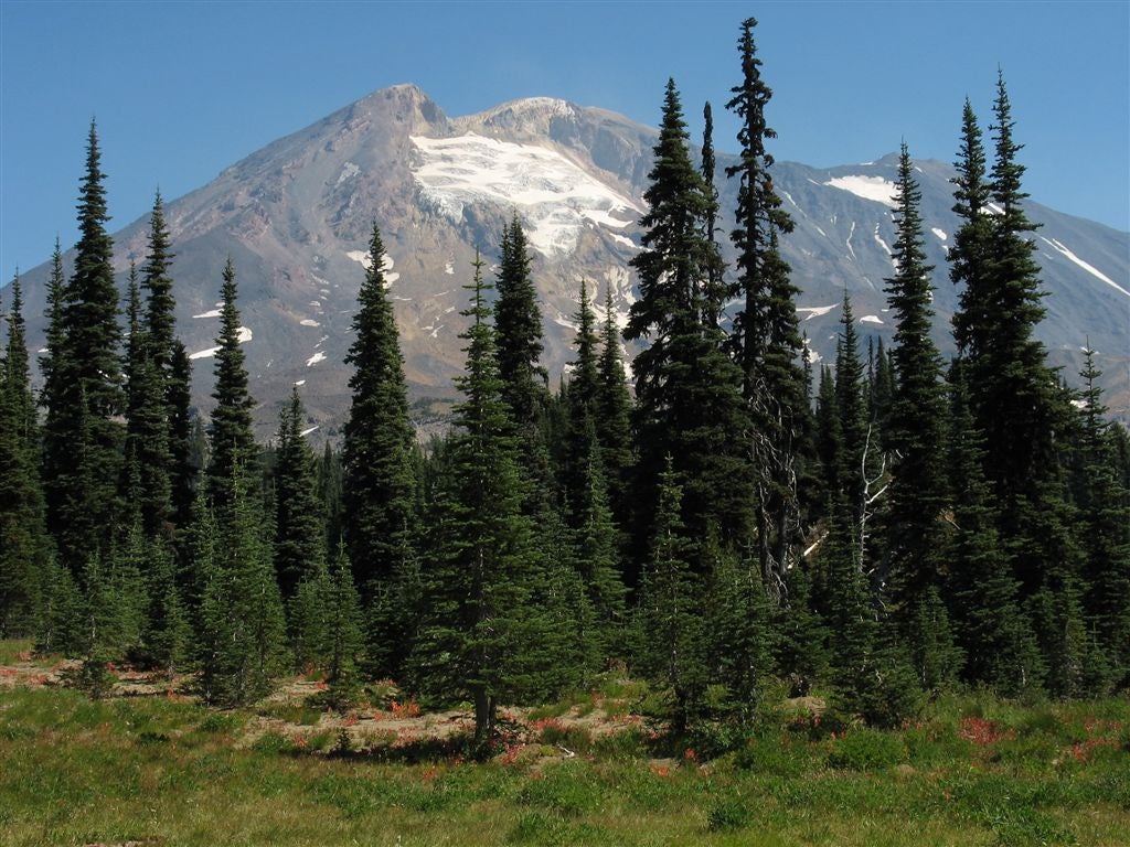 Mt. Adams None