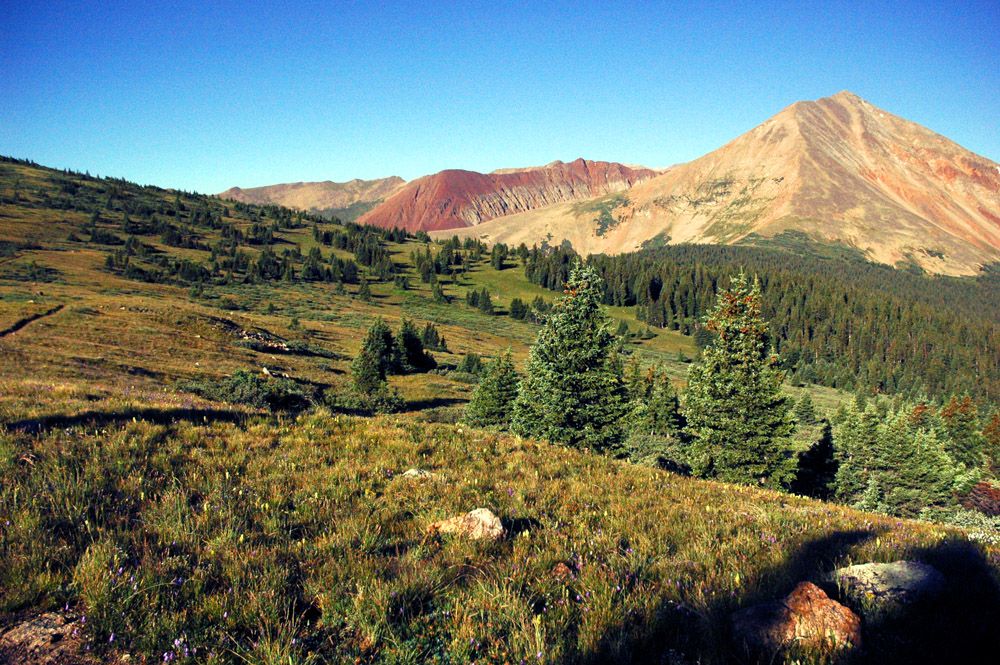 Mt. Guyot None