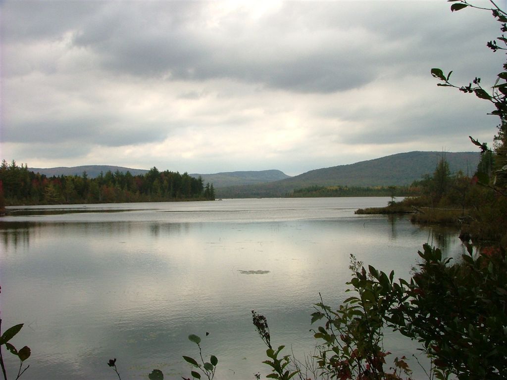Mud Pond None