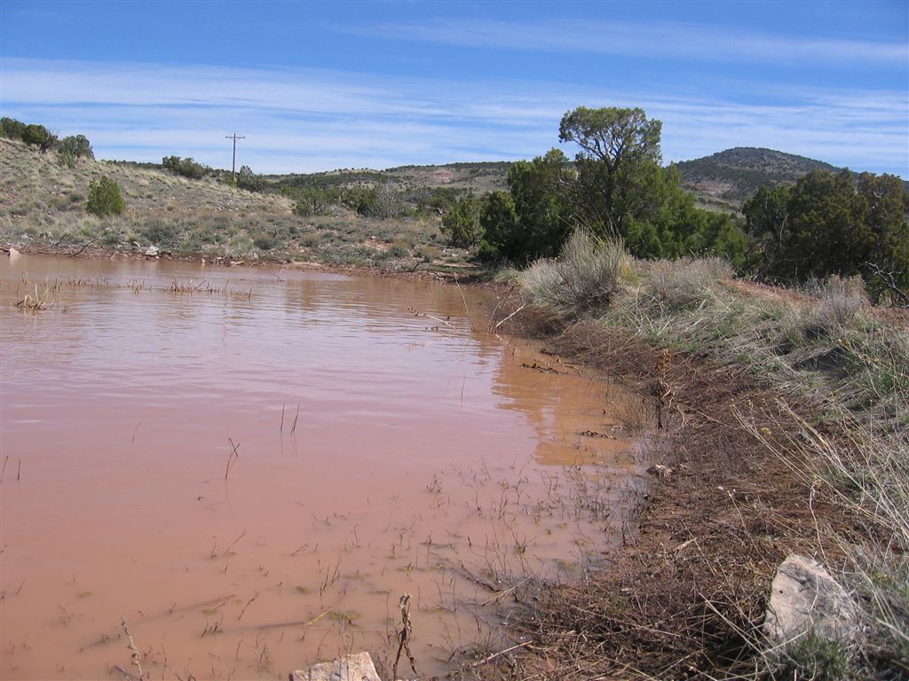 Mud Puddle None