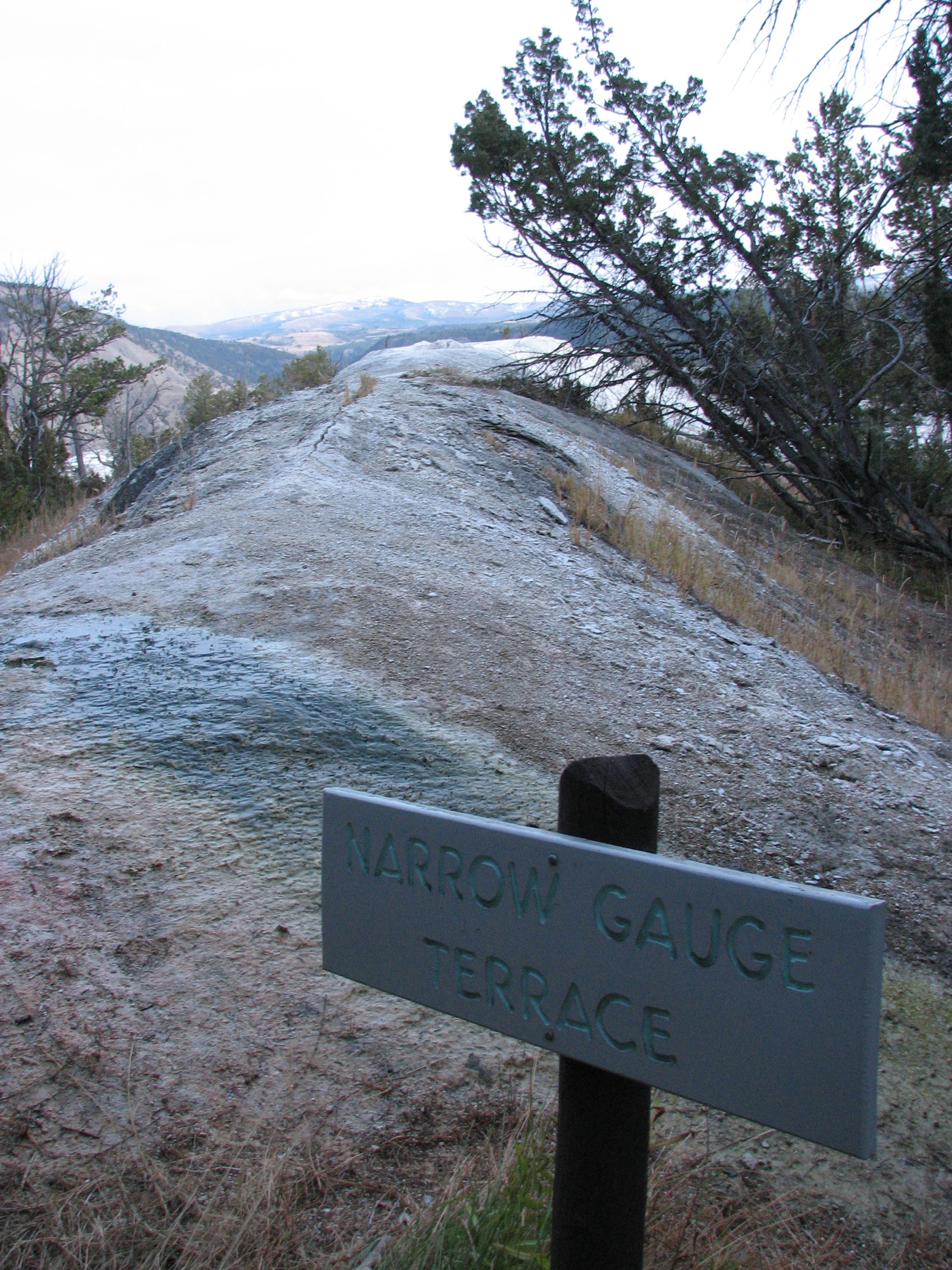 Narrow Gauge Terrace Sign None