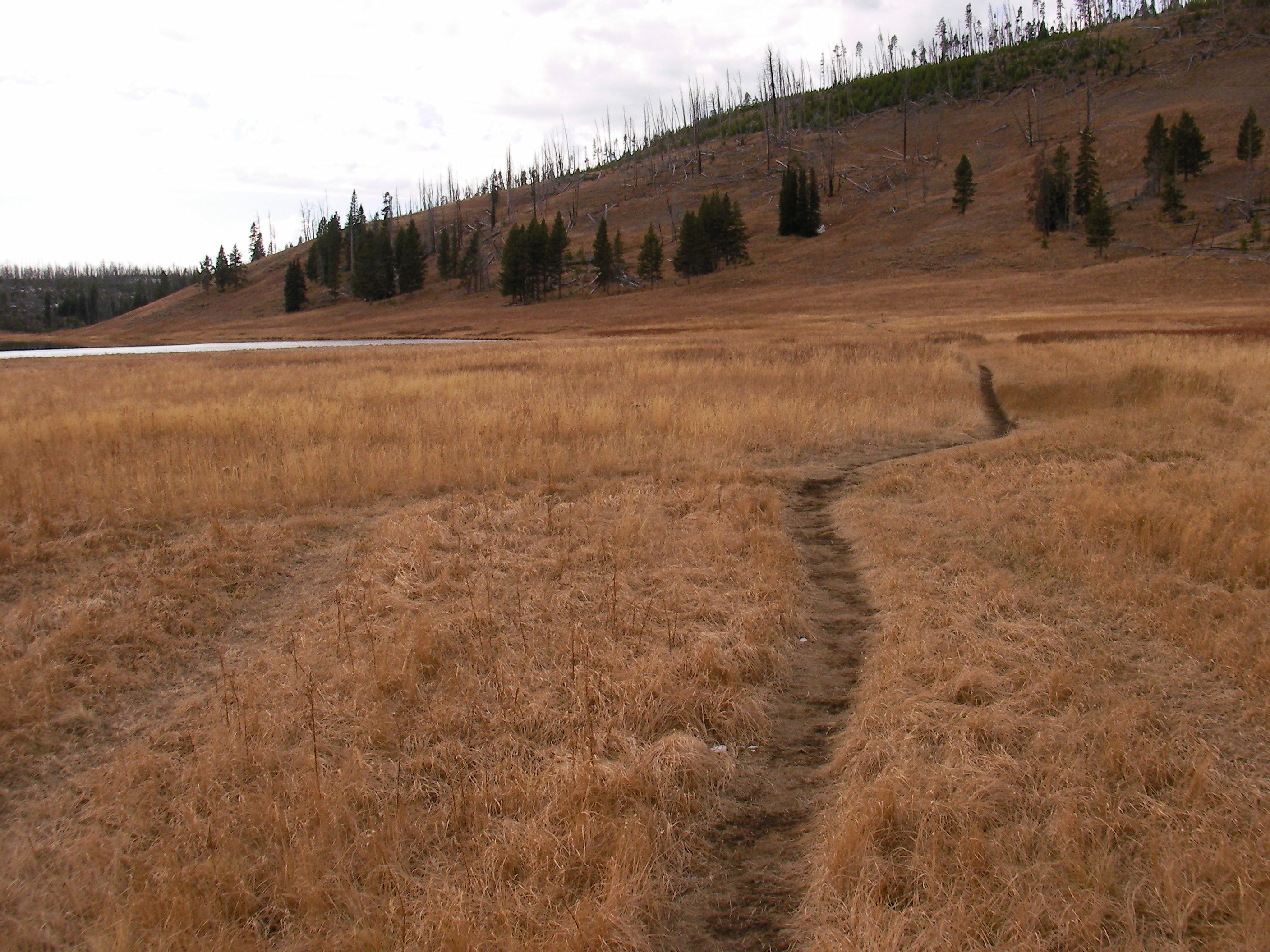 North of Cascade Lake None