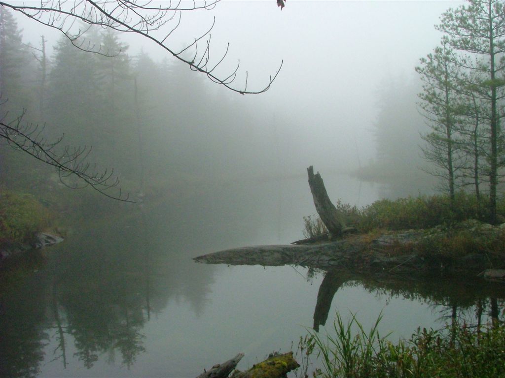 North Pond None
