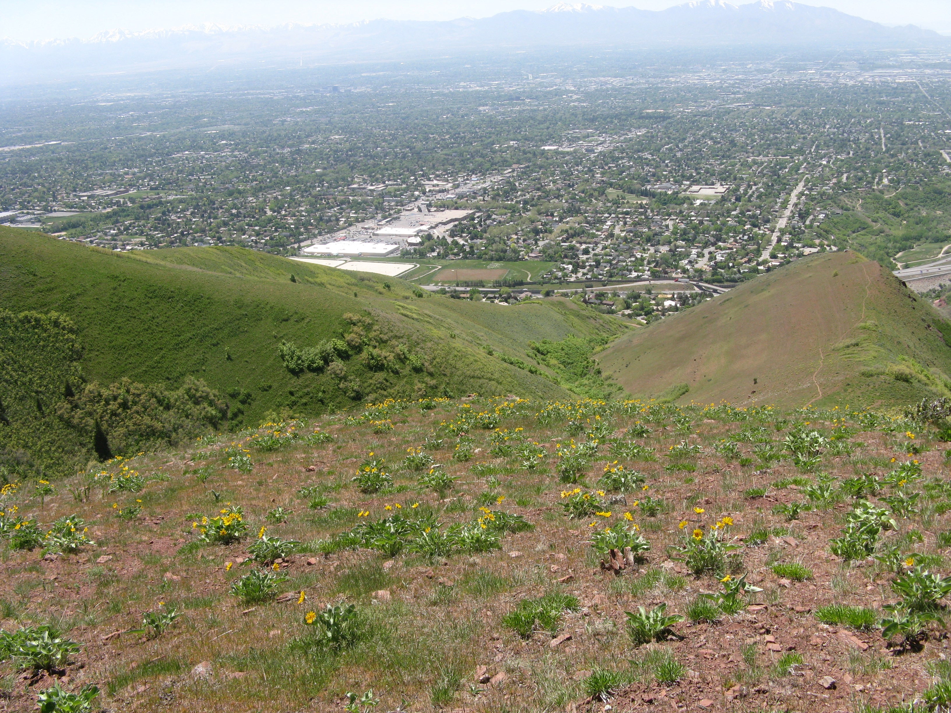 North Trail: Descent None