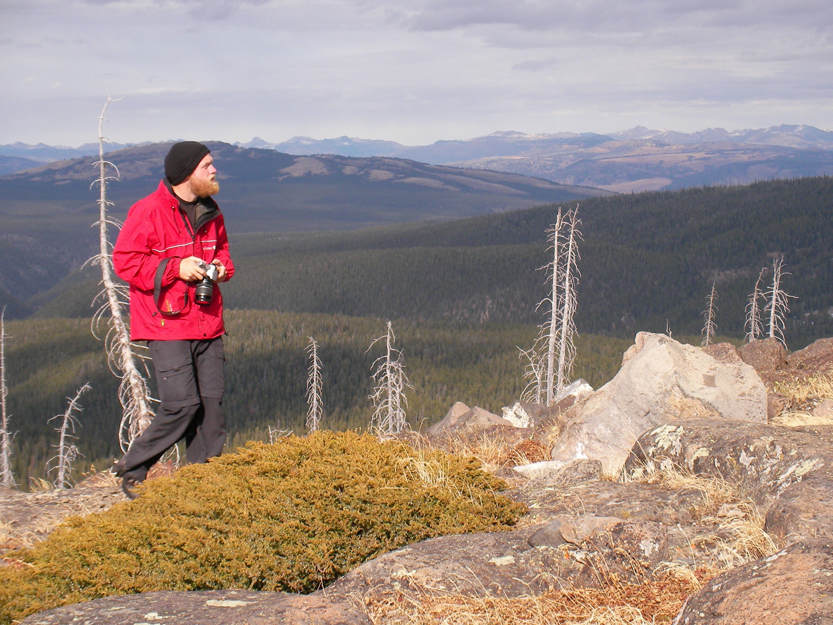 Observation Peak None