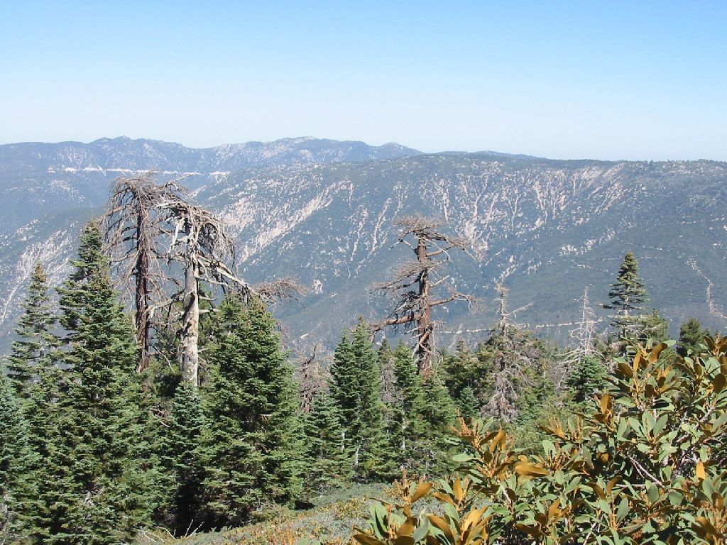 Open Ridgeline None