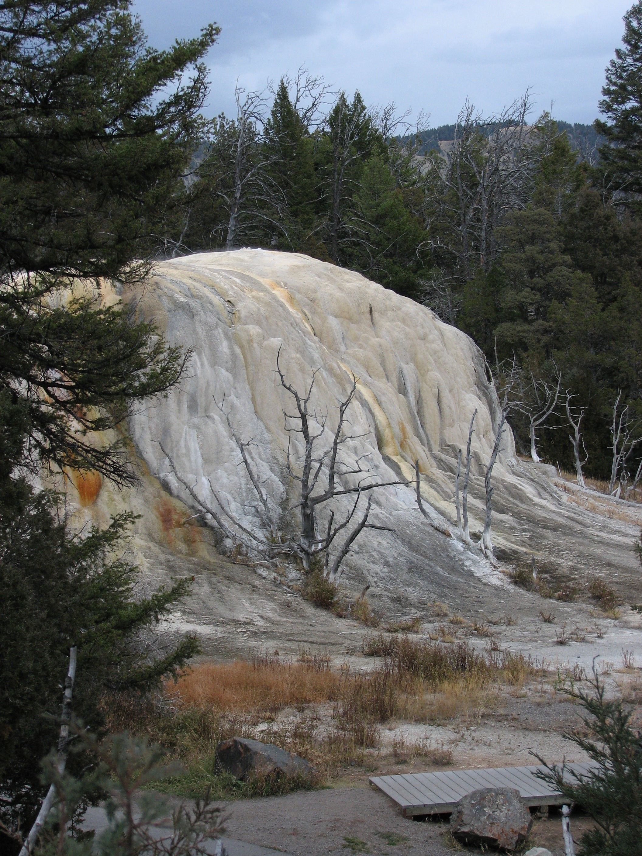 Orange Spring Mound None