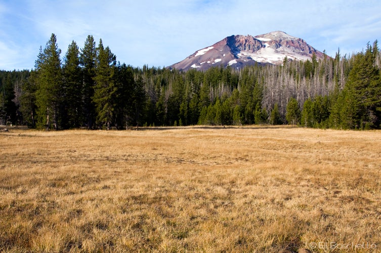 Park Meadow None