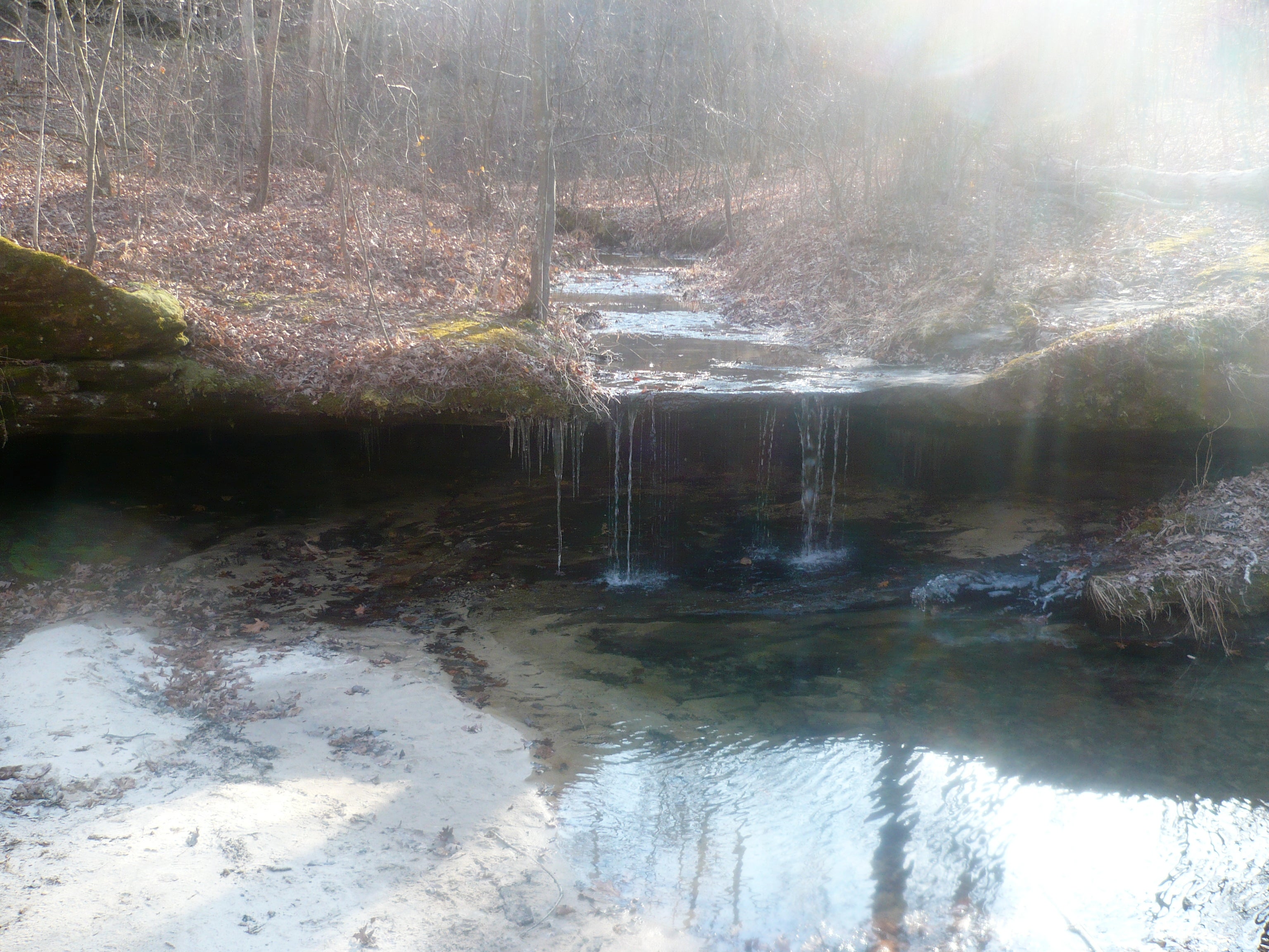 Pickle Springs None