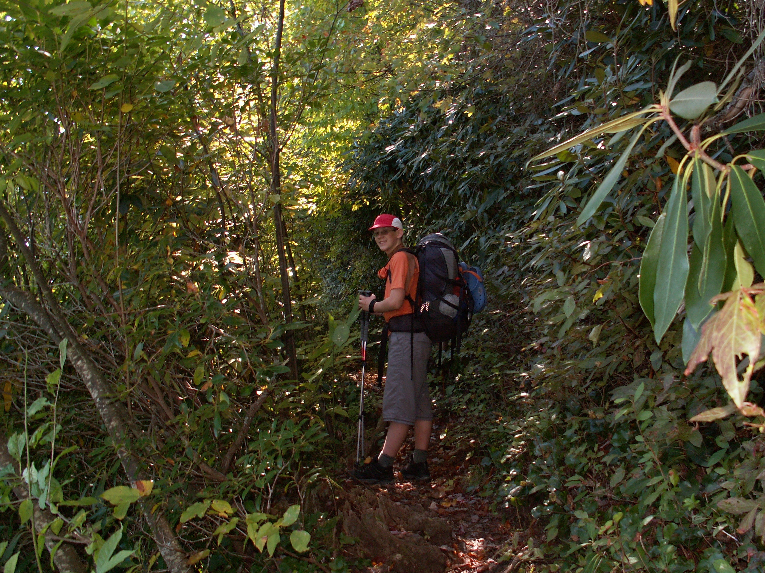 Hiking Nantahala Headwaters Loop near Asheville, NC - Pict3728jpg