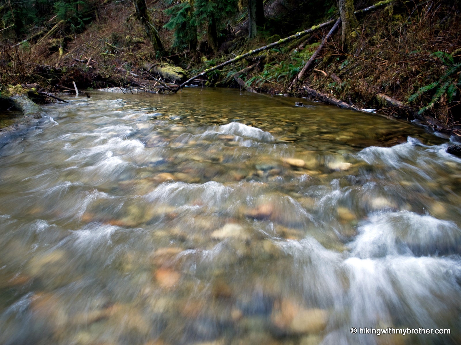 Rainy Creek None