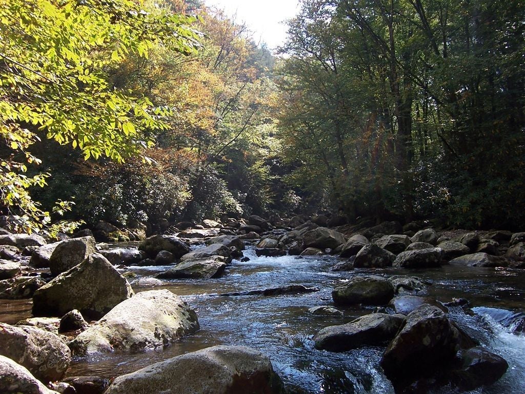 Ramsay Prong of the Little Pigeon River None
