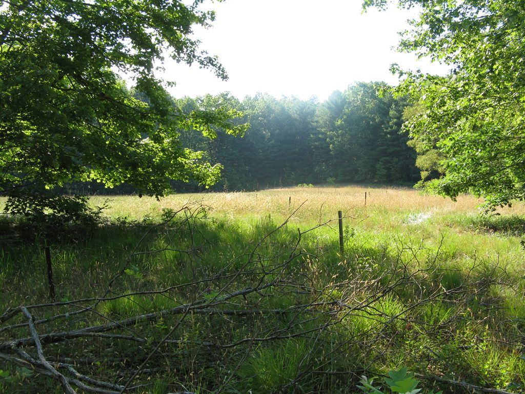 Rifle Range None