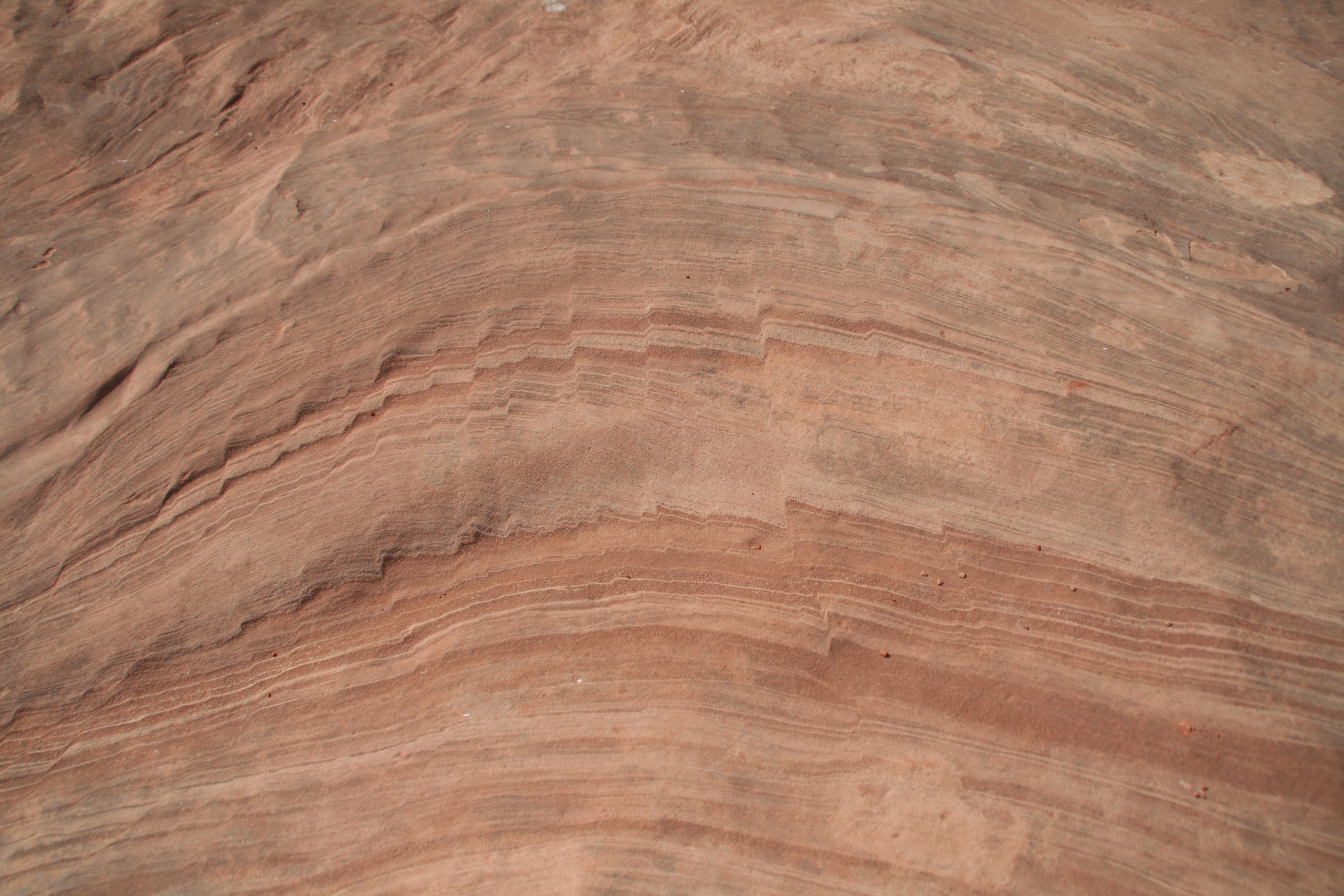 Ripples in the Canyon Floor None