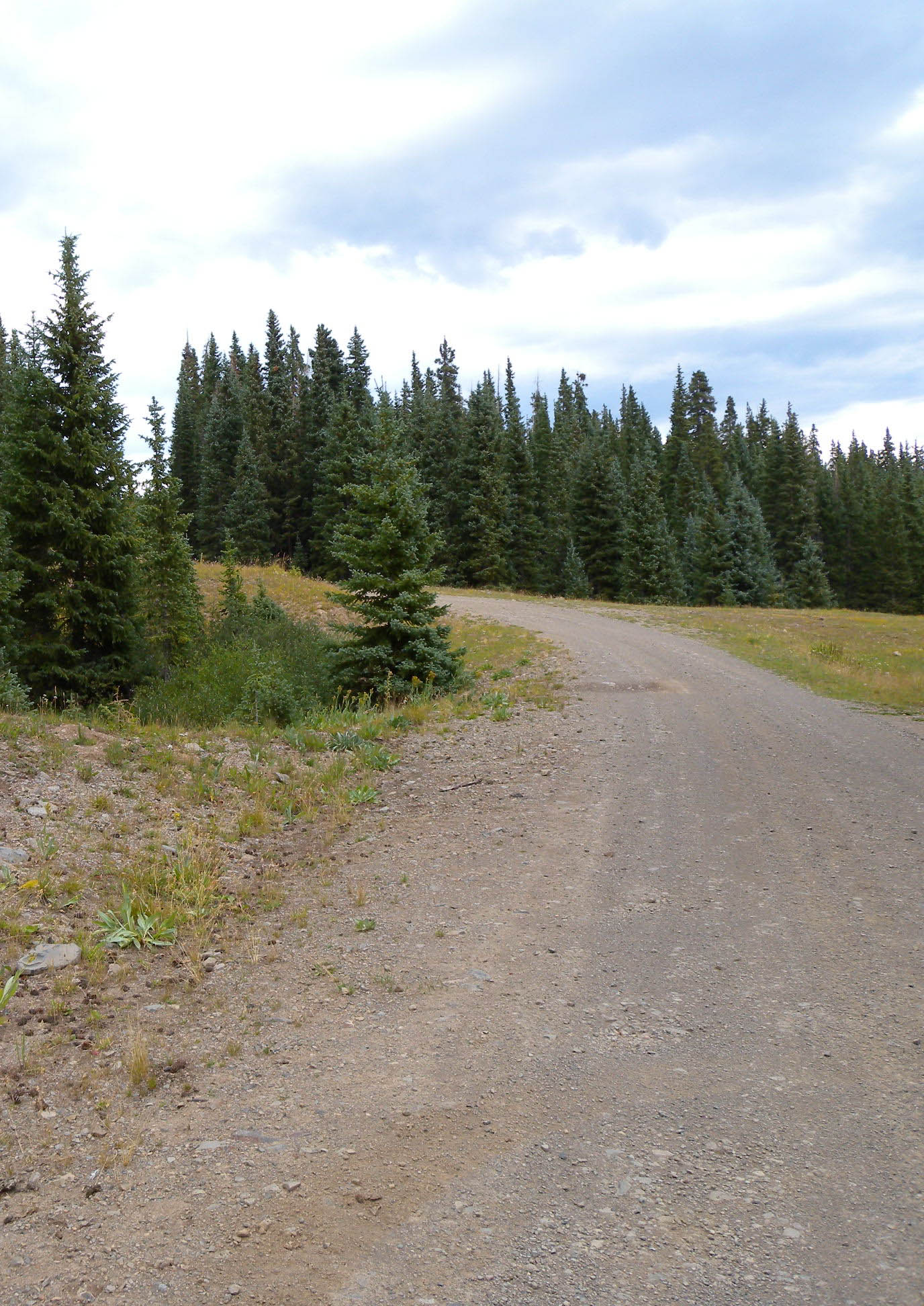 Road None
