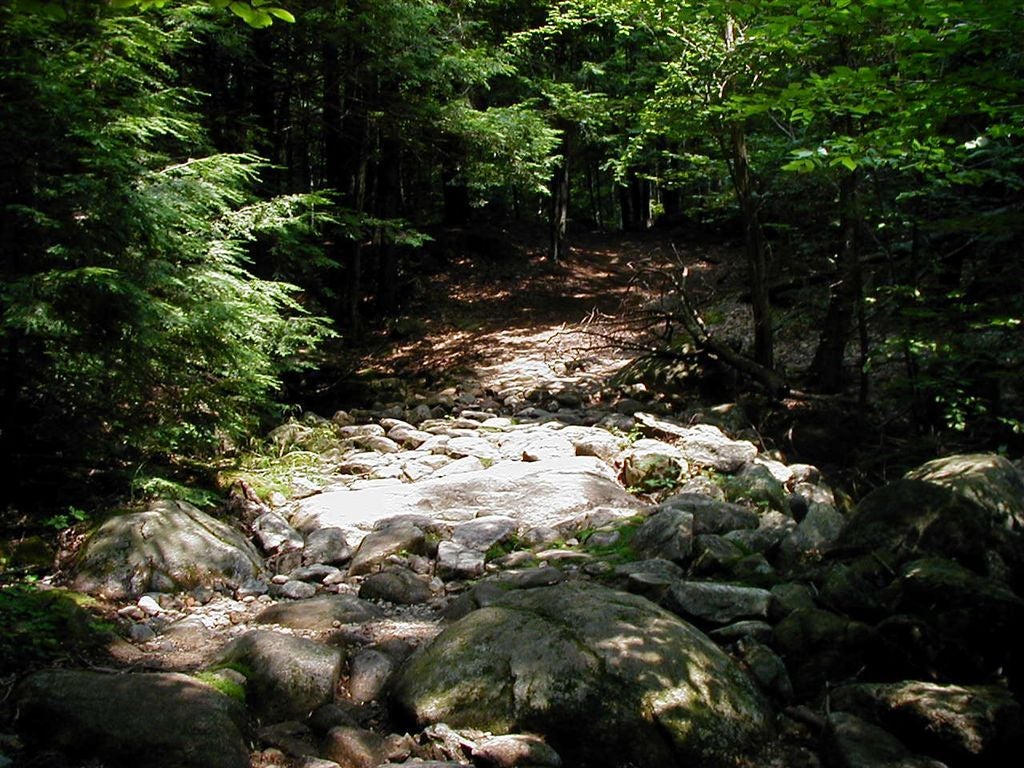 Rocky Stream None